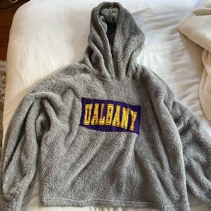 UALBANY fuzzy hoodie